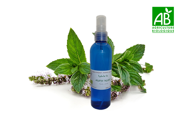 Spray hydrolat de Menthe Poivrée bio