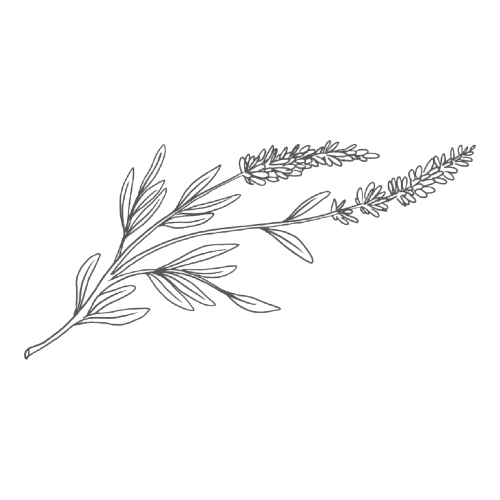 Contact design sans titre 1 removebg preview