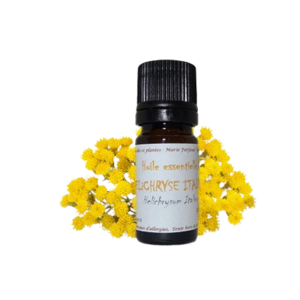 huile essentielle bio d'hélichryse italienne