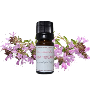 huile essentielle bio d'hélichryse italienne