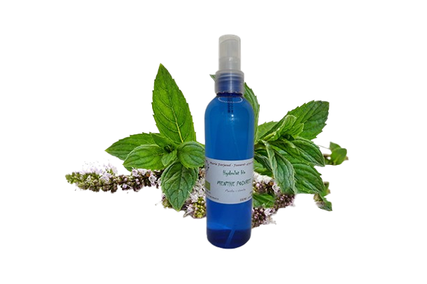 huile essentielle bio d'hélichryse italienne huile essentielle bio d'hélichryse italienne